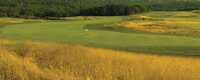 High Bridge Hills G.C.