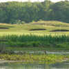 Cape May National course flows through a mix of wetlands, natural grasses, mounding and ponds.