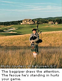 The Bagpiper