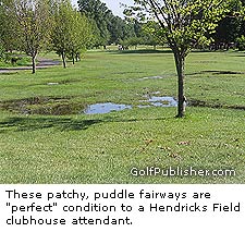 Hendrics Golf Puddle