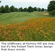 Hominy Hill