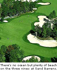 Sand Barrens