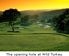 Wild Turnkey